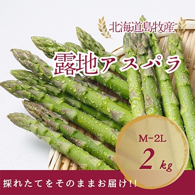 【先行予約・5月より順次発送】北海道島牧村産 アスパラガス 2kg(秀品) 坂下農園【配送不可地域：離島】【1732811】