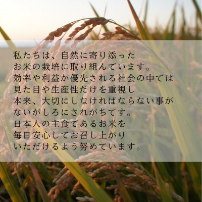 ãããŽãã çç±³5kgã2025幎ç£ãã1719884ã