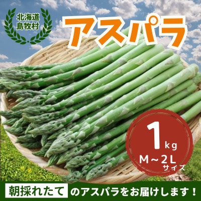 2025年5月中旬より順次発送 朝採りアスパラ【1kg】M−2L 北海道 露地栽培【配送不可地域：離島】【1587134】