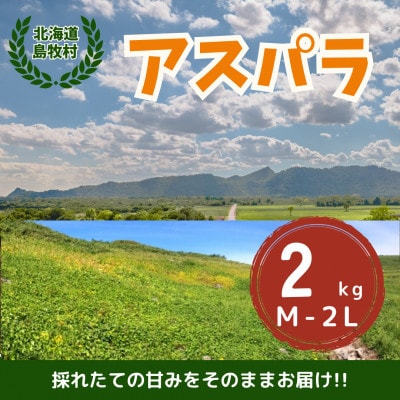 【先行予約・5月より順次発送】北海道島牧村産 アスパラガス 2kg(秀品) 坂下農園【配送不可地域：離島】【1732811】