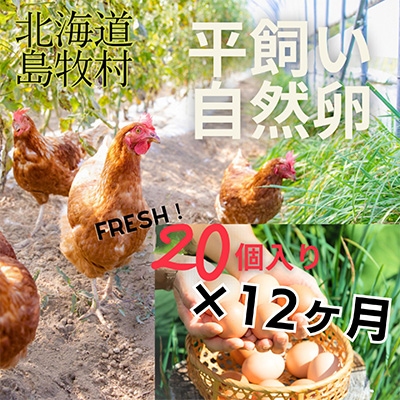 【毎月定期便】ハッピープレイスの自然卵【ハッピーたまご】20個入り(全12回)【配送不可地域：離島】【4012335】