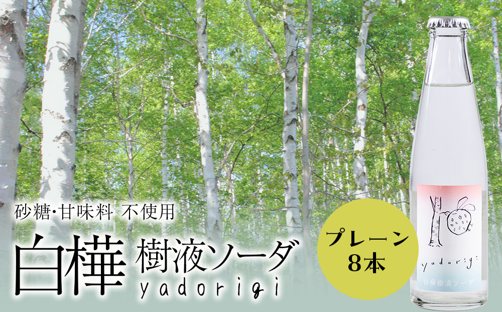 白樺樹液ソーダyadorigi（プレーン）8個 北海道産 国産