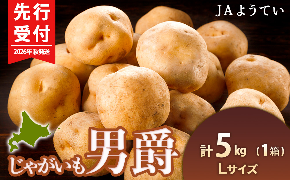 【2026年秋発送 先行予約】じゃがいも 馬鈴薯（男爵）Ｌサイズ　5kｇ＜JAようてい＞ジャガイモ 芋 いも イモ 野菜 常温