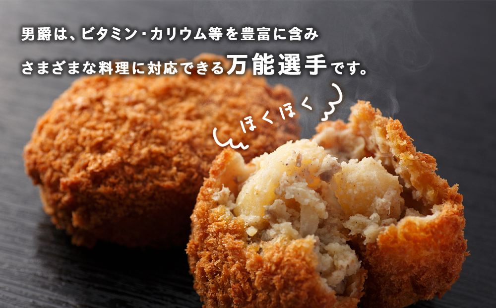 【2026年秋発送 先行予約】じゃがいも 馬鈴薯（男爵）Ｌサイズ　5kｇ＜JAようてい＞ジャガイモ 芋 いも イモ 野菜 常温