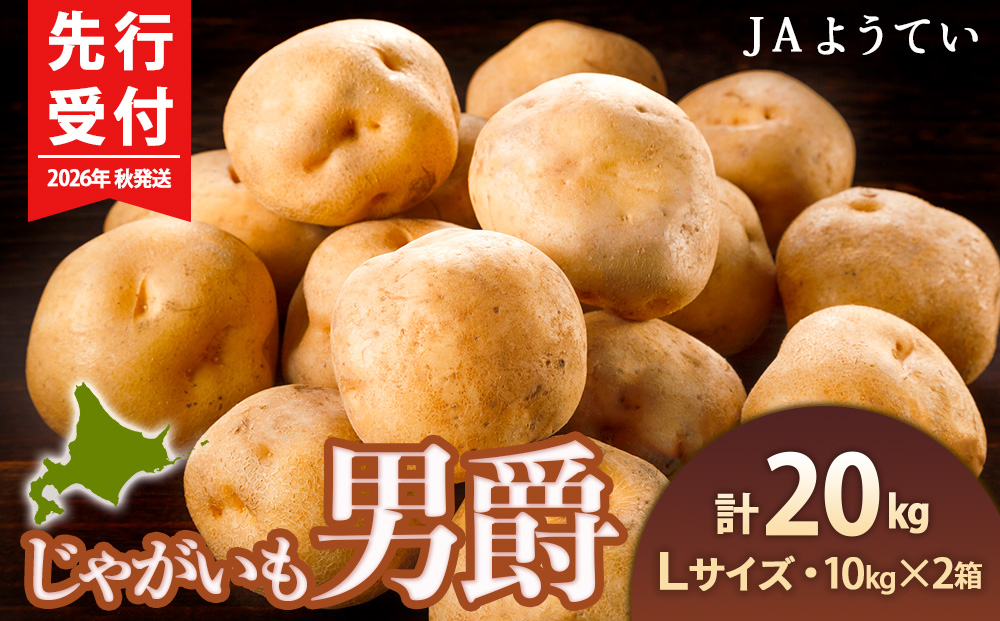 【2026年秋発送 先行予約】じゃがいも 馬鈴薯（男爵）Ｌサイズ 20kｇ＜JAようてい＞ ジャガイモ 芋 いも イモ 野菜 常温