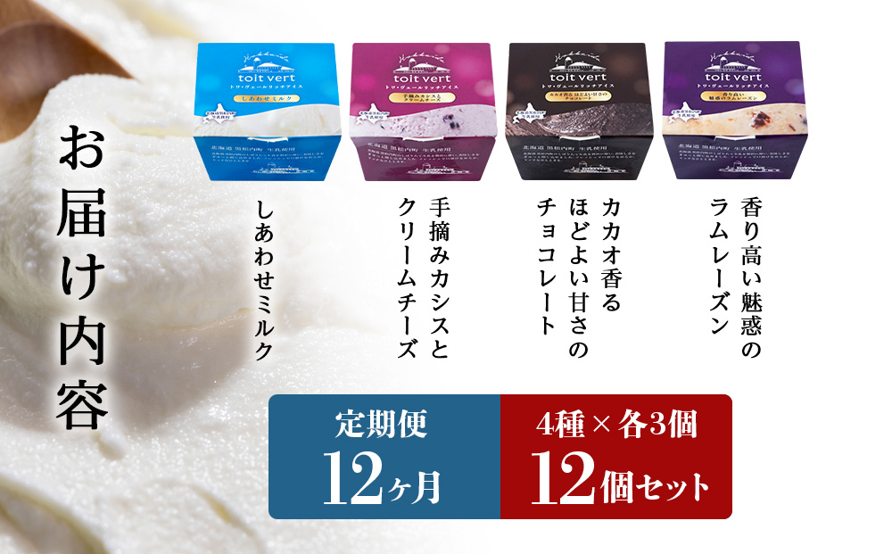 【定期便12ヶ月】リッチアイスクリーム 12個セット（100ml）【4種×各3個】アイス スイーツ おやつ 冷凍 食べ比べ
