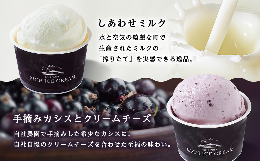 【定期便3ヶ月】リッチアイスクリーム 12個セット（100ml）【4種×各3個】アイス スイーツ おやつ 冷凍 食べ比べ