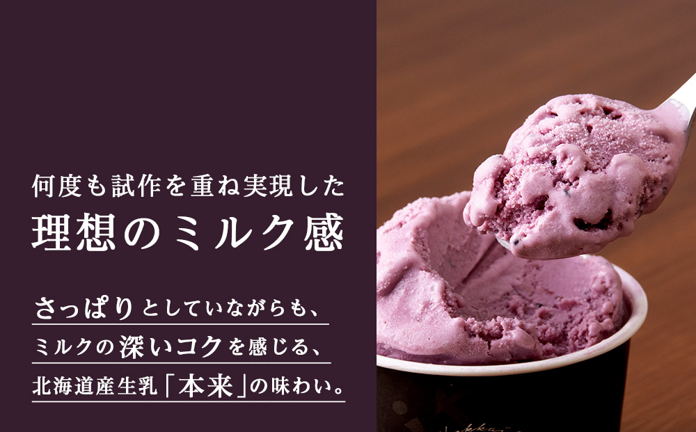 【定期便3ヶ月】リッチアイスクリーム 手摘みカシスとクリームチーズ　10個セット（100ml）