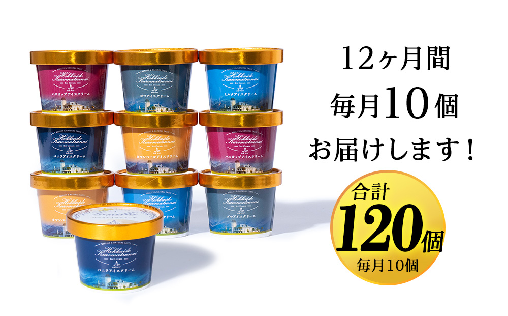 【定期便12ヵ月】トワ・ヴェールアイスクリーム10個セット(全5種×各2個) 工場直送 アイス カップ 食べ比べ 贈り物