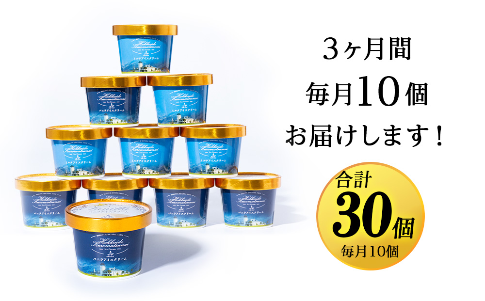 【定期便3ヵ月】トワ・ヴェールアイスクリーム10個セット(バニラ・ミルク2種×各5個)工場直送 アイス カップ 食べ比べ 贈り物