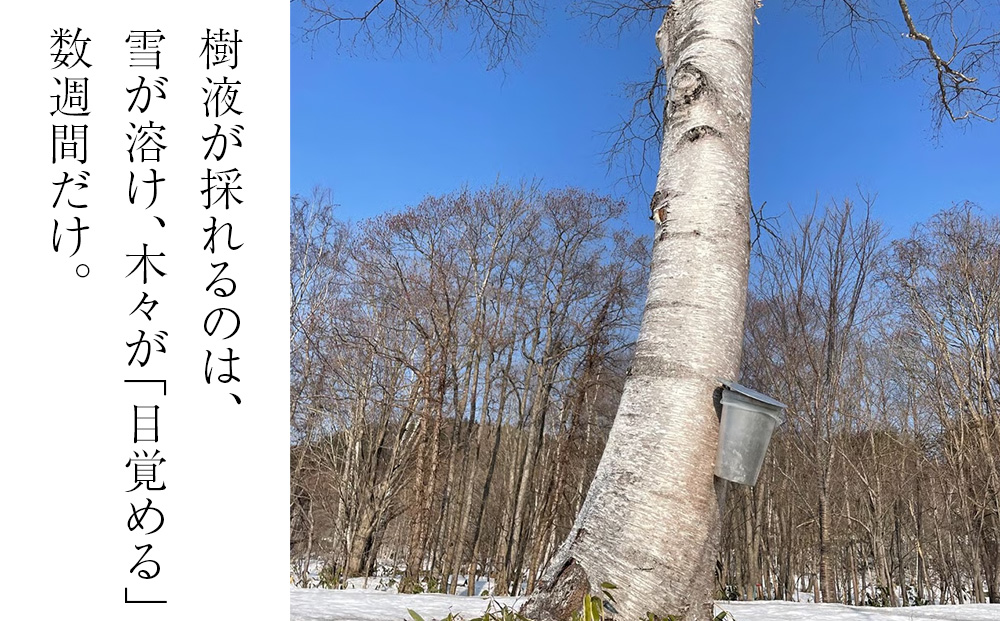 逋ス讓コ讓ケ豸イ繧ス繝シ繝yadorigi(繝励Ξ繝シ繝ウ/繝帙ャ繝励→繧翫s縺)險8蛟 蛹玲オキ驕鍋肇 蝗ス逕」