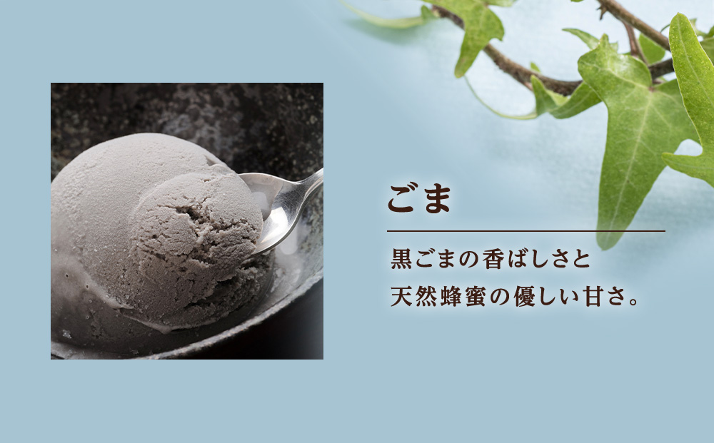北海道黒松内のこだわり最高級！トワ・ヴェールアイスクリーム10個セット(全5種×各2個)工場直送