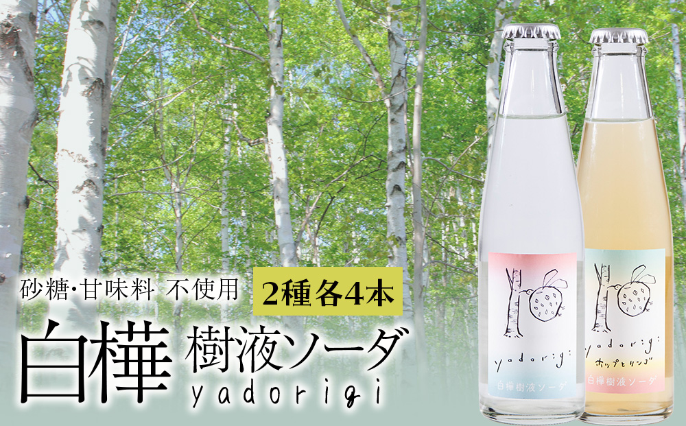 白樺樹液ソーダyadorigi(プレーン/ホップとりんご)計8個 北海道産 国産