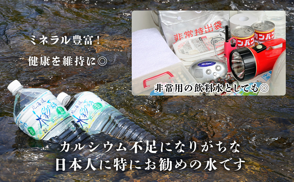 【定期便 6ヵ月】黒松内銘水 水彩の森 2L×12本（2箱）北海道 ミネラルウォーター