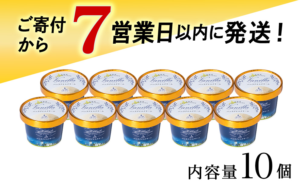 【7営業日以内発送】トワ・ヴェール の アイスクリーム 【 バニラアイスクリーム 】110ml (通常10個 ) アイス お菓子 氷菓 黒松内 北海道 ギフト トワヴェ―ル