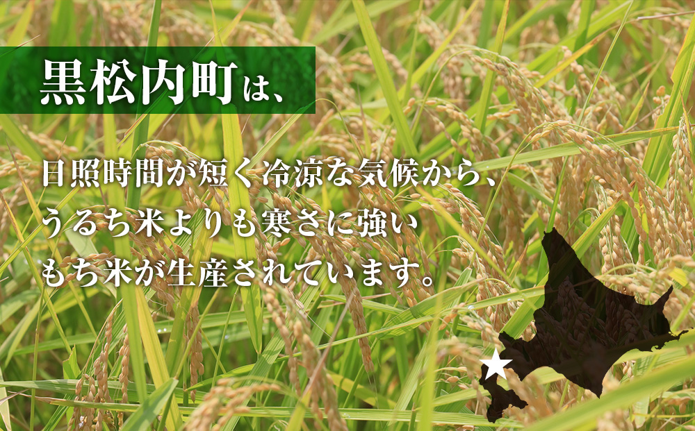 【定期便12ヵ月】きたゆきもち 2kg 国産 北海道産 もち米 モチ米 コメ