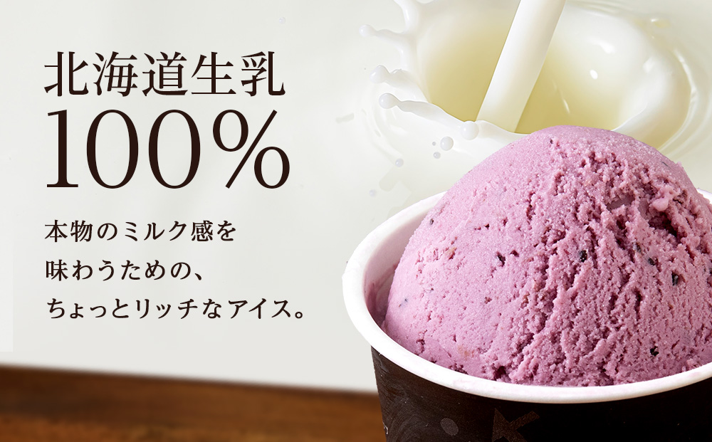 【定期便6ヶ月】リッチアイスクリーム 手摘みカシスとクリームチーズ　10個セット（100ml）