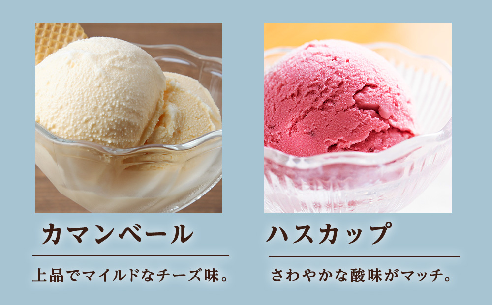 北海道黒松内のこだわり最高級！トワ・ヴェールアイスクリーム10個セット(全5種×各2個)工場直送