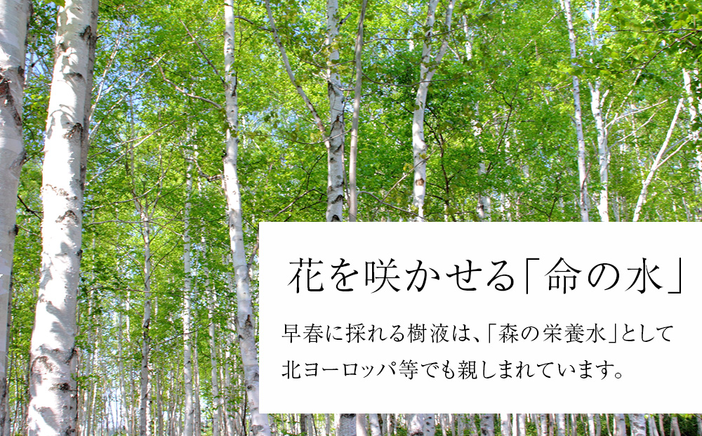 逋ス讓コ讓ケ豸イ繧ス繝シ繝yadorigi(繝励Ξ繝シ繝ウ/繝帙ャ繝励→繧翫s縺)險8蛟 蛹玲オキ驕鍋肇 蝗ス逕」