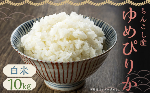 【令和7年産】らんこし産 ゆめぴりか 10kg （中村農場） 【2025年10月上旬〜2026年7月下旬発送予定】精米 白米 お米 米 ご飯 ごはん ライス 単一原料米 令和7年産米 常温 蘭越町産 北海道産 北海道 蘭越町