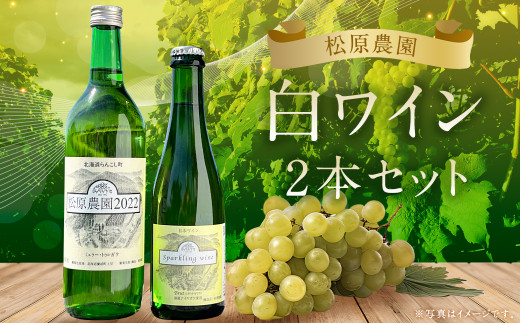 白ワイン『ミュラートゥルガウ』『ナイヤガラスパークリング』ハーフボトル（松原農園） ワイン ハーフ ハーフボトル 2本 2種類 セット 松原農園 飲み比べ ワイン 日本ワイン お酒 洋酒 果実酒 ぶどう ブドウ 葡萄 100% スパークリング 蘭越町産 アルコール 北海道 蘭越町