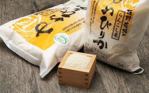 令和7年産 らんこし米 ゆめぴりか5kg