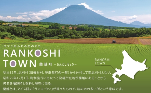 北海道蘭越産 米粉お好み焼きミックス （1個入り） グルテンフリー 約250g ミックス粉 ミックス お好み焼き 米粉 ゆめぴりか 北海道 蘭越町 常温
