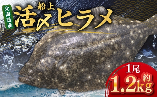 北海道産 船上活〆ヒラメ 約1.2kg 【2026年5月上旬〜12月上旬まで発送予定】 ヒラメ 刺身 熟成 活〆 昆布締め カルパッチョ 冷凍 春 魚 魚類 魚介 魚介類 食材 国産 刺し身