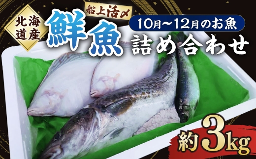 北海道産 船上活〆鮮魚詰め合わせ約3kg 【2026年10月上旬〜12月上旬まで発送予定】 鮮魚 活〆 血抜き セット 旬 出汁 3キロ 魚 魚類 魚介 魚介類 食材 国産 鮮魚セット 詰め合わせ