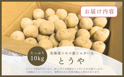 《2026年分受付中》なめらかな舌触りに感動!北海道ニセコ名産「とうや」新じゃが10kg/高橋農園【3700601】