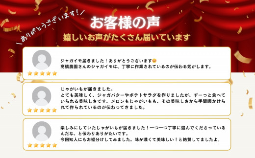 《2026年分受付中》なめらかな舌触りに感動!北海道ニセコ名産「とうや」新じゃが10kg/高橋農園【3700601】