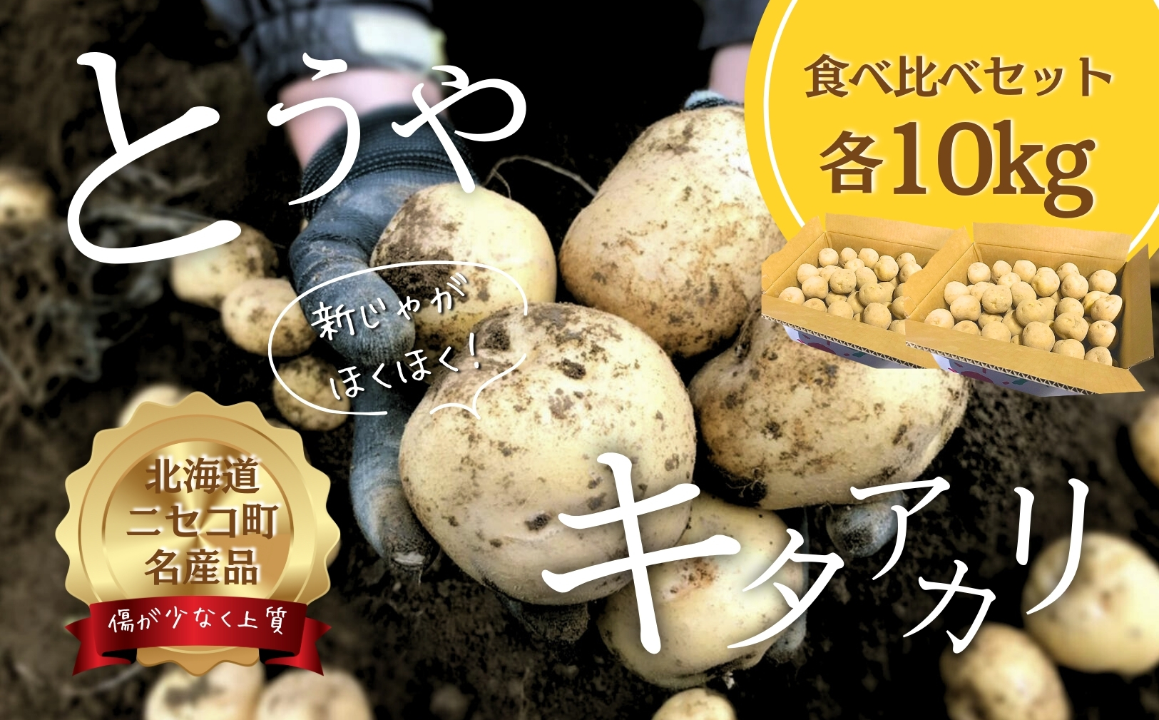 《2026年分受付中》北海道ニセコ名産「キタアカリ」＆「とうや」!新じゃが食べ比べセット（各10kg）/高橋農園【3700701】
