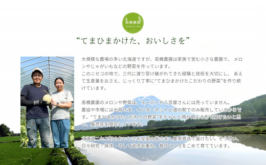 《2026年分受付中》なめらかな舌触りに感動!北海道ニセコ名産「とうや」新じゃが10kg/高橋農園【3700601】