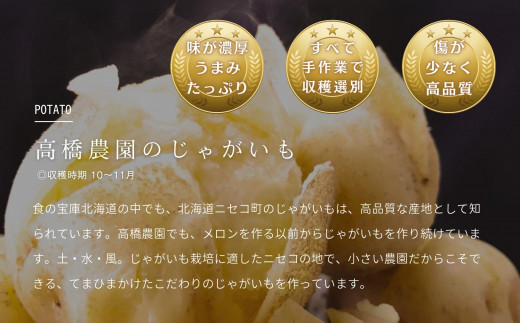 《2026年分受付中》なめらかな舌触りに感動!北海道ニセコ名産「とうや」新じゃが10kg/高橋農園【3700601】