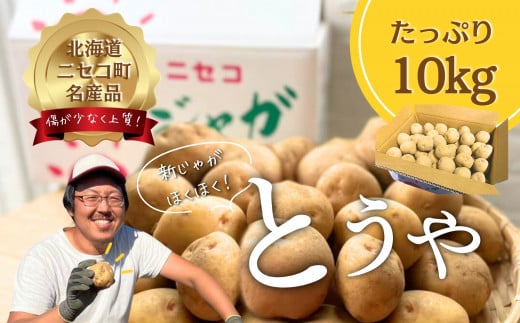 《2026年分受付中》なめらかな舌触りに感動!北海道ニセコ名産「とうや」新じゃが10kg/高橋農園【3700601】