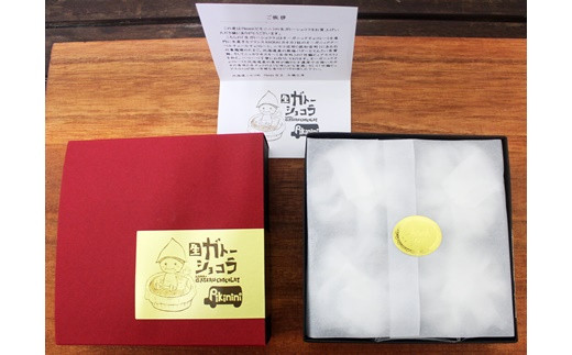 ピキニニの生ガトーショコラ4個入り【09136】