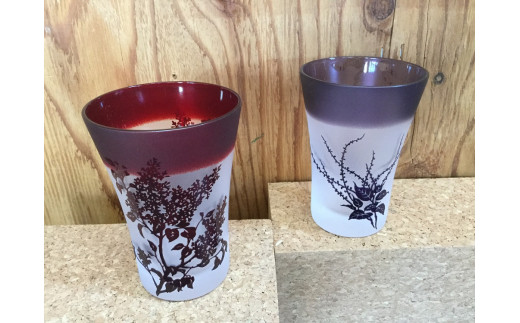 【ギフトラッピング可】がらすギャラリー童夢　タンブラー２個セット【11109】