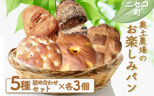 お楽しみパン 5種 計15個 詰め合わせ セット | オンライン 申請 ふるさと納税 北海道 ニセコ ライ麦パン 田舎パン フォカッチャ ぶどうくるみパン かぼちゃパン パン ぱん 美味しいパン 食べ比べ 朝食 朝ごはん 冷凍パン ニセコ町【42001】