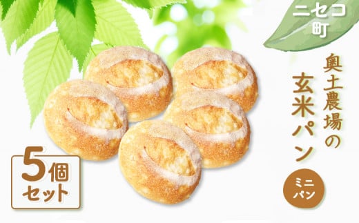 玄米パン ミニパン 5個 セット | 自家製酵母 オンライン 申請 ふるさと納税 北海道 ニセコ 玄米 パン ぱん 美味しいパン シンプルなパン 朝食 朝ごはん トースト サンドイッチ 道産小麦 冷凍パン 奥土農場 ニセコ町【42008】
