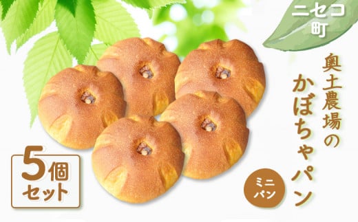 かぼちゃパン ミニパン 5個 セット | 自家製酵母 オンライン 申請 ふるさと納税 北海道 ニセコ かぼちゃ パン ぱん 美味しいパン 優しい甘み 朝食 朝ごはん 道産小麦 冷凍パン 奥土農場 ニセコ町【42009】