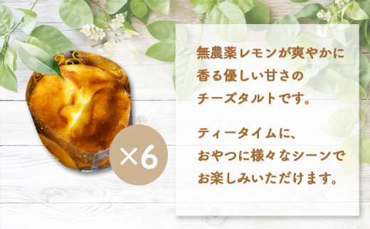 阮ェ遯ッ辟シ 繝√シ繧コ繧ソ繝ォ繝 6蛟 繧サ繝繝 | 繧ェ繝ウ繝ゥ繧、繝ウ 逕ウ隲 縺オ繧九&縺ィ邏咲ィ 蛹玲オキ驕 繝九そ繧ウ 繝√シ繧コ 繧ソ繝ォ繝 縺翫d縺、 繧ケ繧、繝シ繝 謇句悄逕」 謇倶ス懊j 辷ス繧縺九↑逕倥∩ 蜆ェ縺励>蜻ウ 辟。霎イ阮ャ繝ャ繝「繝ウ 辟シ闖灘ュ 螂・蝨溯セイ蝣エ 繝九そ繧ウ逕コ縲42013縲