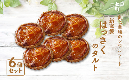 薪窯焼 はっさくのタルト 6個 | セット オンライン 申請 ふるさと納税 北海道 ニセコ はっさく 八朔 タルト おやつ スイーツ 手土産 手作り シロップ漬け 素朴 焼菓子 奥土農場 ニセコ町【42016】