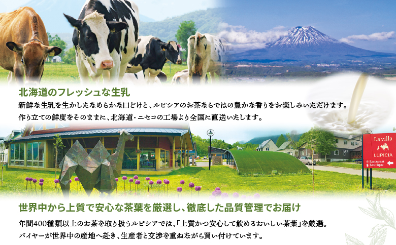 ルピシアのお茶 アイス グラス and ソルベ アールグレイ 4個セット | 4個 ルピシア ルピシアグルマン アイスクリーム お茶 アールグレイ 紅茶 生乳 北海道 ふるさと納税 ニセコ町 ニセコ お茶のルピシア LUPICIA リッチ 北海道ニセコ町【06136】