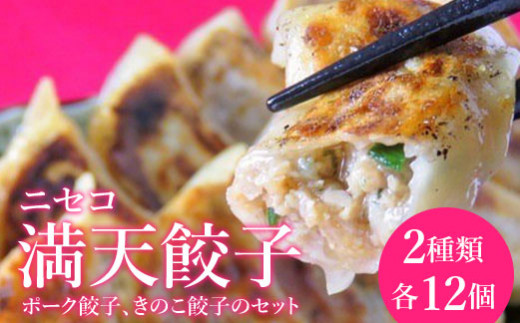 ニセコ満天餃子　ポーク餃子　きのこ餃子のセット【09138】
