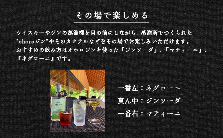 åæµ·éãã»ã³çºç£ãohoro GIN (ã¹ã¿ã³ããŒã)ã0914304ã