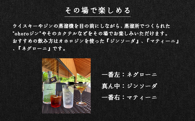 ãæ°ééå®ïŒãåæµ·éãã»ã³çºç£ãohoro GIN Limited Edition ããã³ããã« 700mlã09150ã
