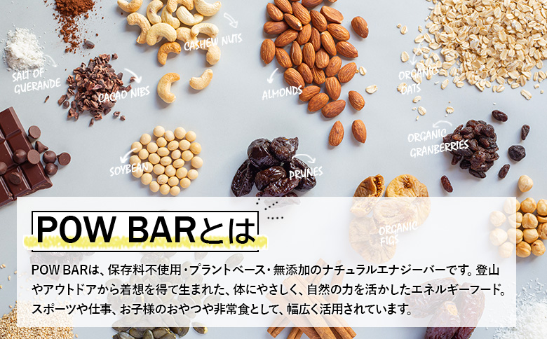 POW BAR ソルトピーナッツバター & チョコレートチップ《12本入り》 |  エナジーバー 栄養補給 健康 おやつ スナック 補給食 オンライン 申請 ふるさと納税 北海道 ニセコ オーツ麦 カシューナッツ 有機チョコレートチップ アウトドア 行動食 心と体のケア パウバー ニセコ町【28020】