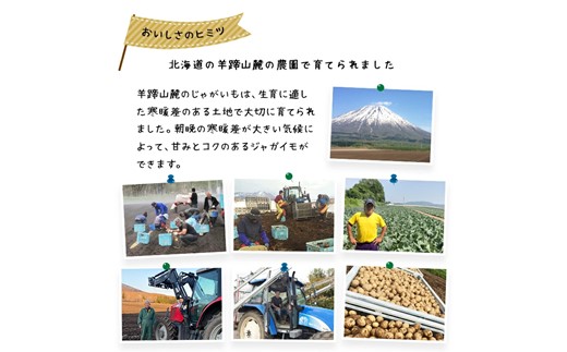 〈早期予約・数量限定〉北海道ニセコ町 訳ありじゃがいも北あかり10kg【2026年産】【3200902】