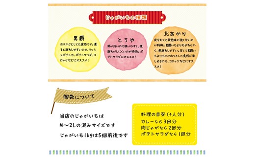 〈早期予約・数量限定〉北海道ニセコ町 訳ありじゃがいも北あかり10kg【2026年産】【3200902】