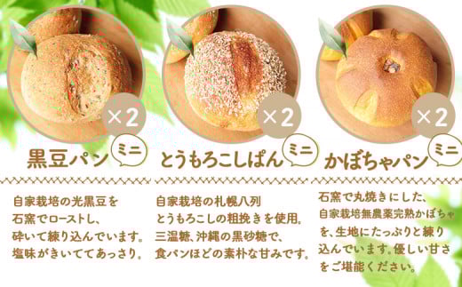お楽しみミニパン 3種 各2個 詰め合わせ セット | オンライン 申請 ふるさと納税 北海道 ニセコ 黒豆パン とうもろこしぱん かぼちゃパン パン ぱん ミニサイズ 美味しいパン 食べ比べ 朝食 朝ごはん 冷凍パン ニセコ町【42003】